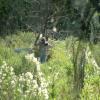 paintball026.jpg